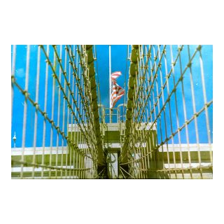 daniel-firth-new-york-colour-photography-49